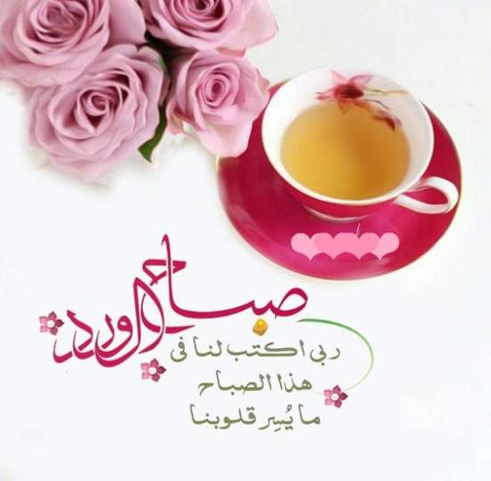 رد على صح النوم