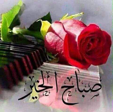 رد على صح النوم