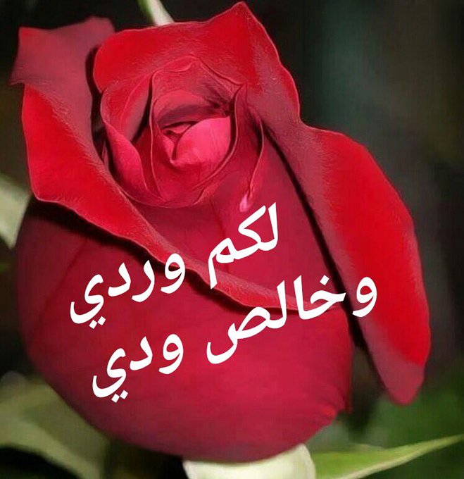 رد على عاشت الاسامي