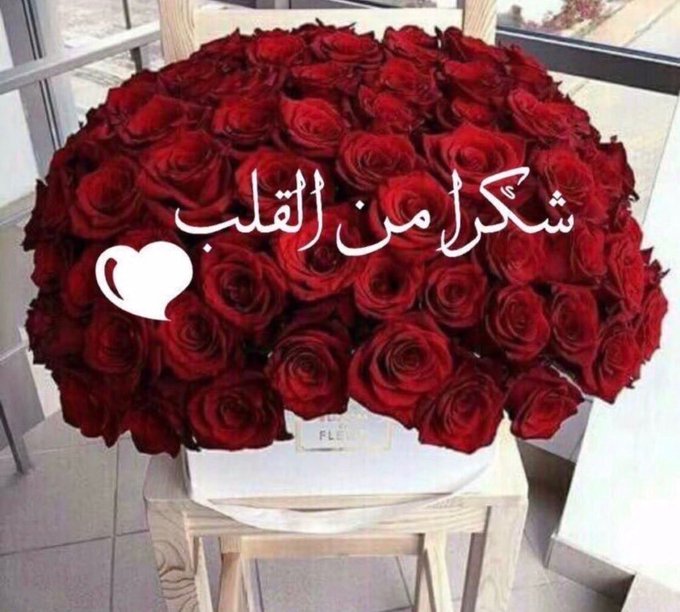 رد على عاشت الاسامي