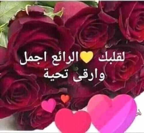 رد على عاشت الاسامي