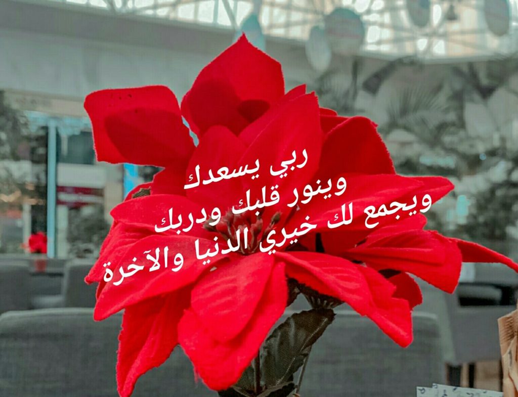 رد على عاشت الاسامي