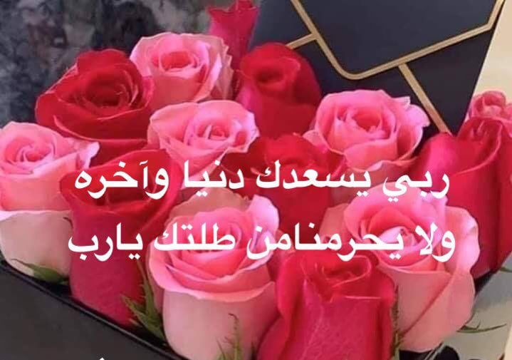 رد على عاشت الاسامي