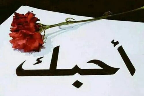 رد على غزل الحبيب