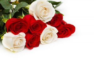 رد على فديتك