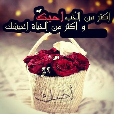 رد على كلمة احبك