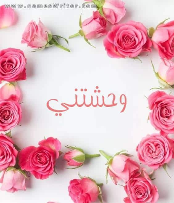 رد على وحشتيني