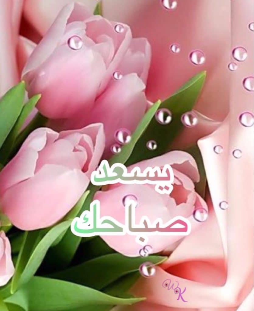 رد على يسعد صباحك