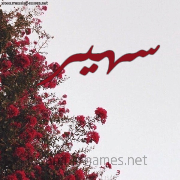رسائل حب باسم سهير