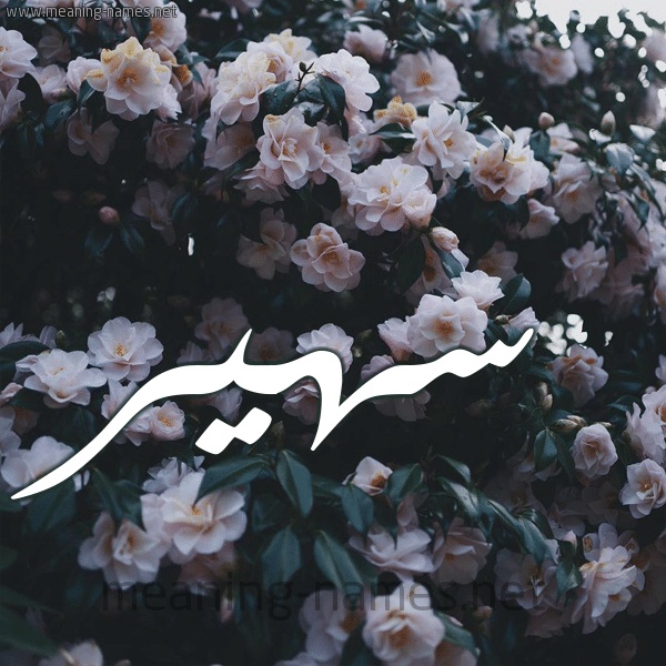 رسائل حب باسم سهير