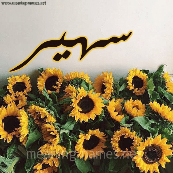 رسائل حب باسم سهير