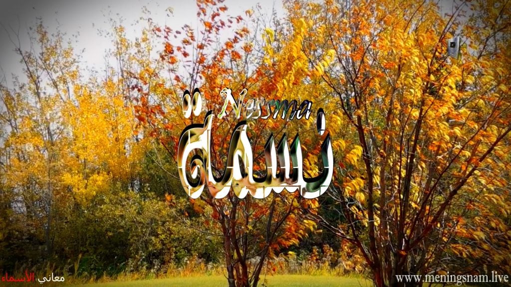 رسائل حب باسم نسمه