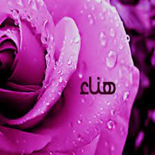 رسائل حب باسم هناء