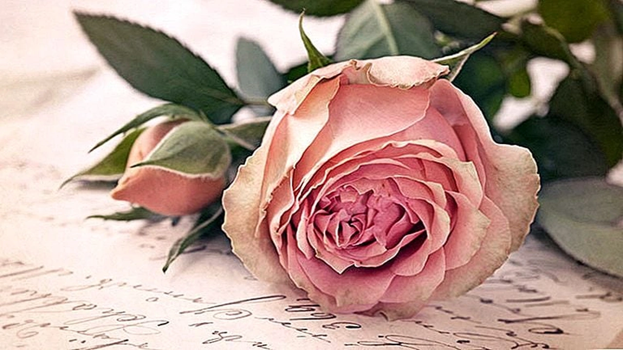 صورة رسائل حب ذوبان