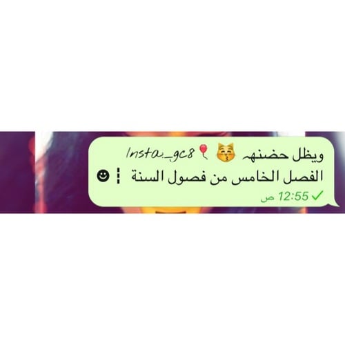 رسائل حب طويلة