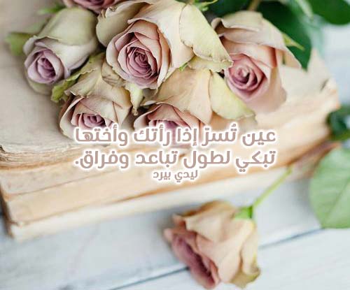 رسائل حب طويلة
