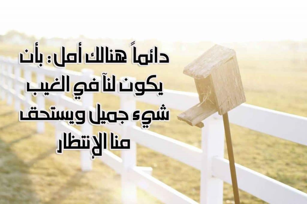 رسائل سعاده