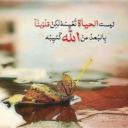 رسائل سعاده