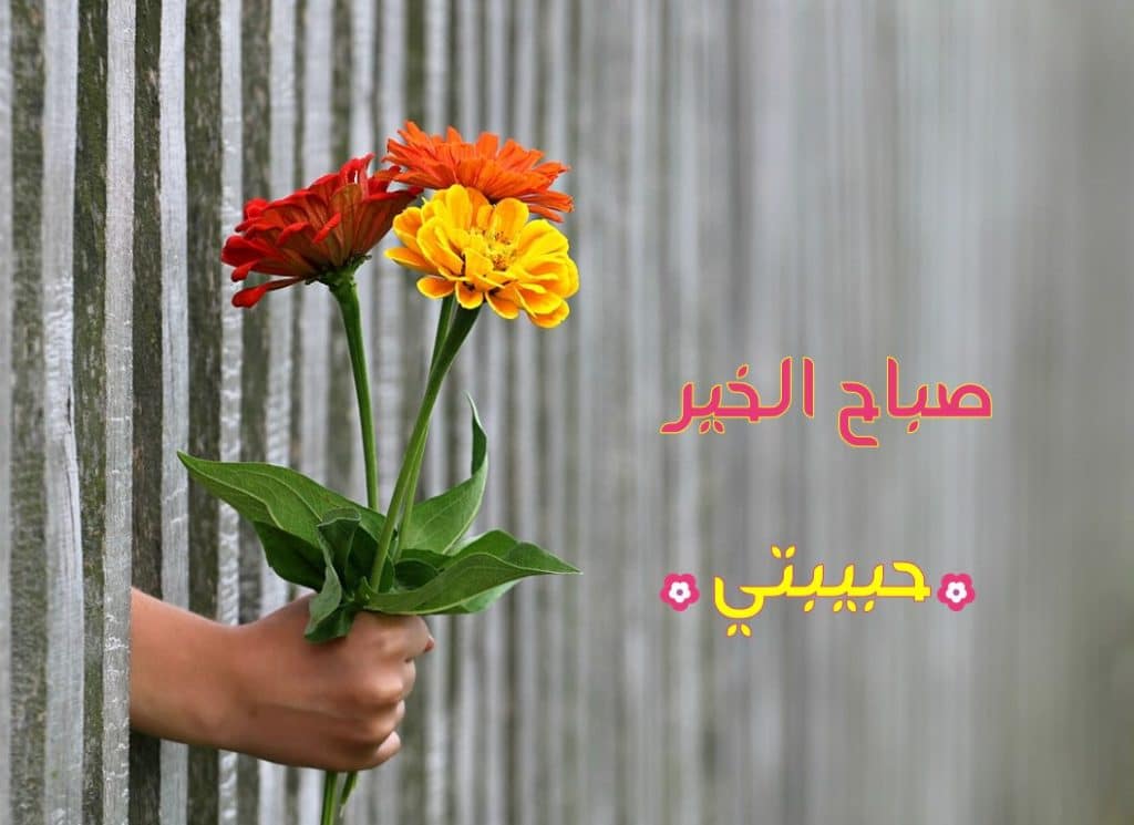رسائل صباحية للحبيب
