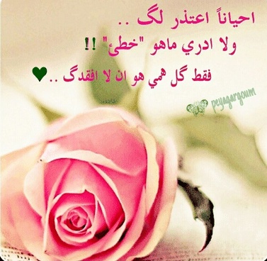رسائل طلب السماح من الزوج