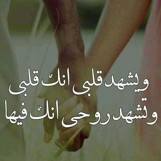 رسائل عشق وغرام