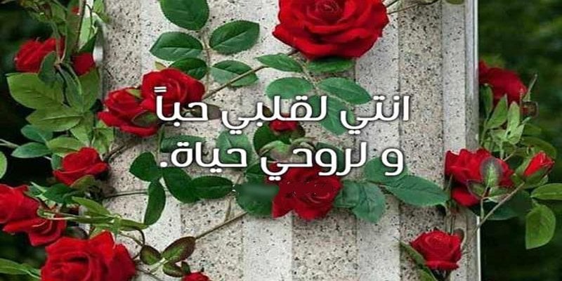 رسائل واتس اب حب وغرام طويلة