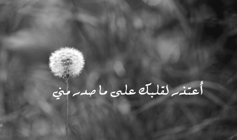 رسالة اعتذار لحبيبتي الزعلانه