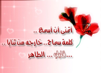 رسالة اعتذار لحبيبتي الزعلانه