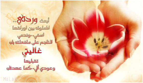 رسالة اعتذار لحبيبتي الزعلانه