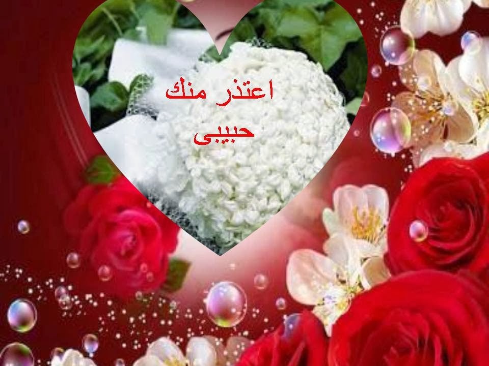رسالة اعتذار لحبيبتي الزعلانه