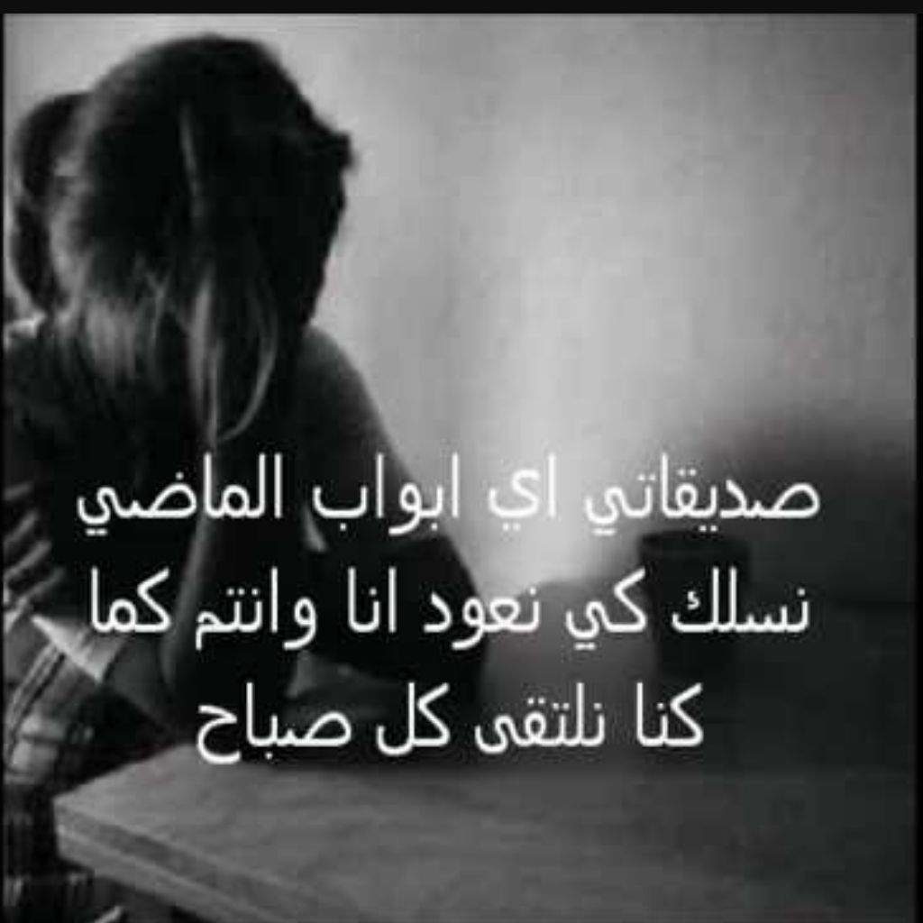 رسالة اعتذار للاستاذ