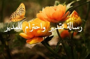 رسالة تقدير واحترام للمدير