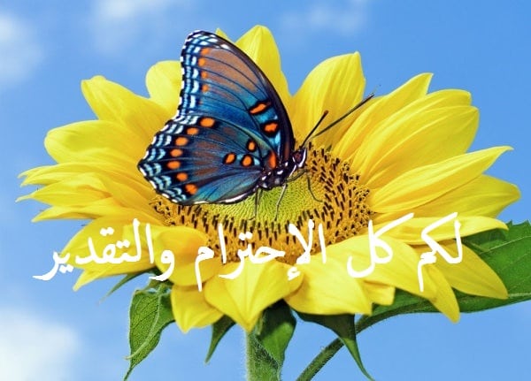 رسالة تقدير واحترام للمدير