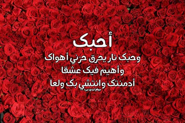 رسالة حب لحبيبتي