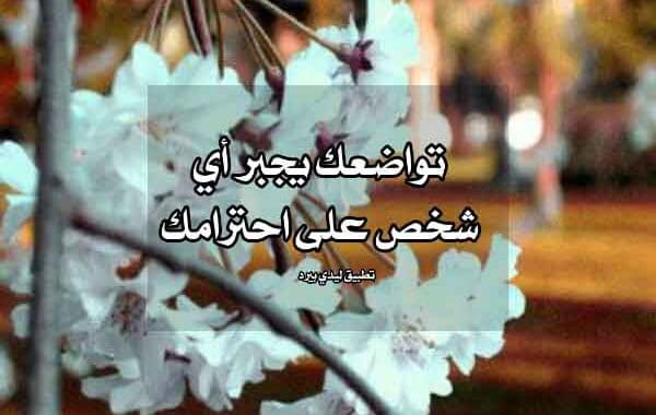رسالة مدح الشيخ