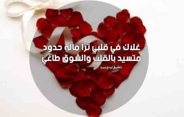 رسالة مدح لشخص