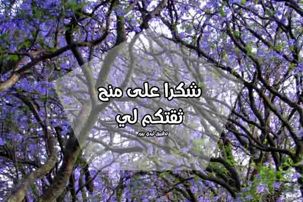 رسالة مدح للمدير