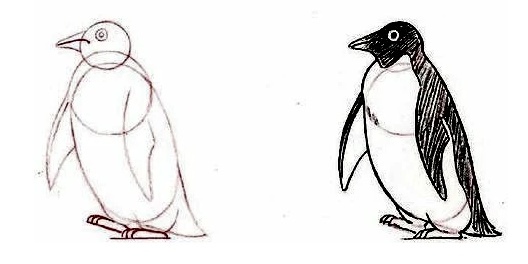 رسم بالرصاص