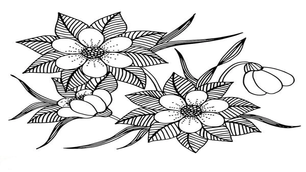 صورة رسومات اطفال للتلوين للبنات