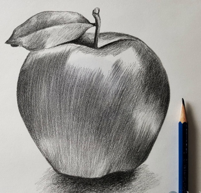 رسومات تلوين خضروات