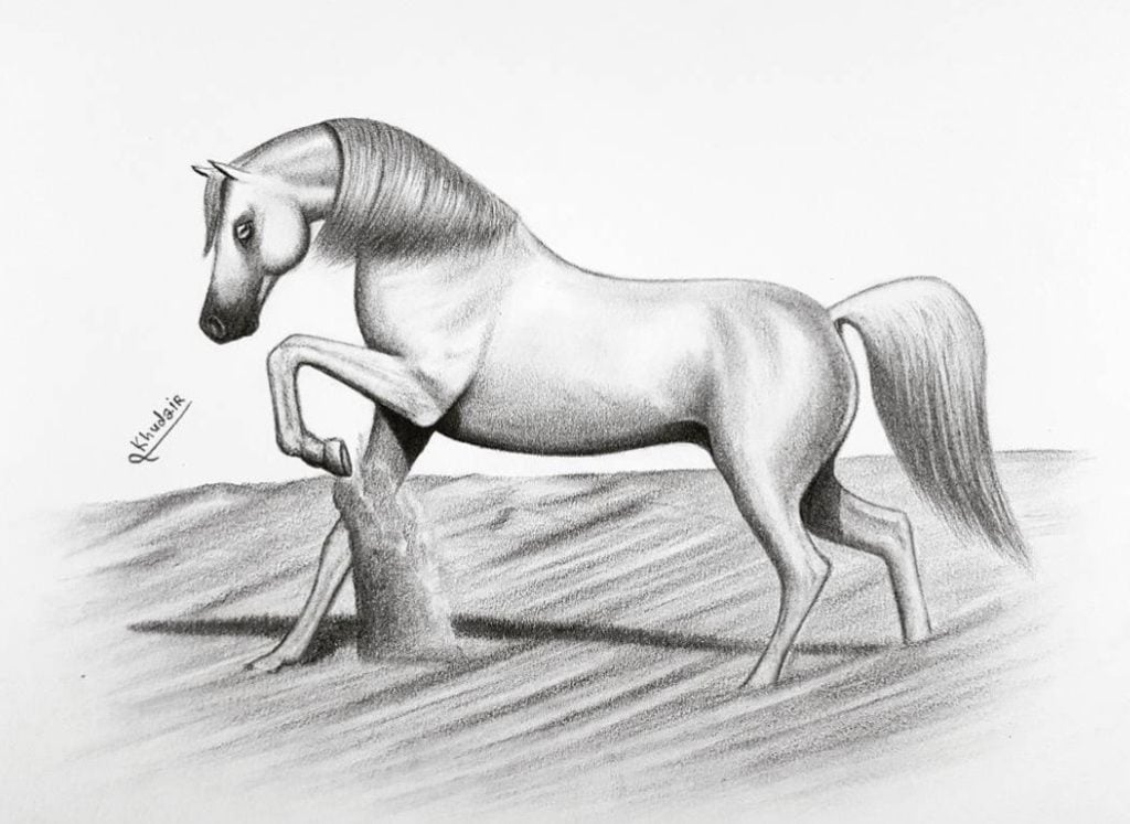 رسومات تلوين خيول