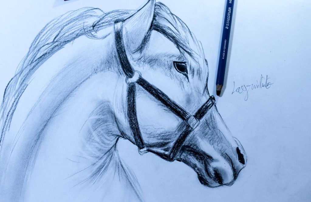رسومات تلوين خيول