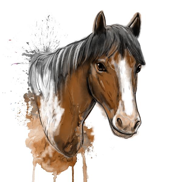 رسومات تلوين خيول