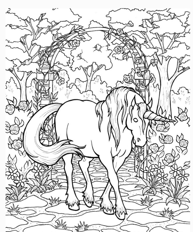 رسومات تلوين خيول