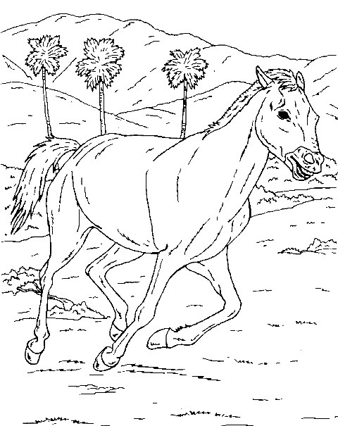 رسومات تلوين خيول