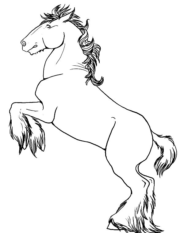 رسومات تلوين خيول