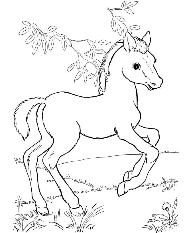 رسومات تلوين خيول