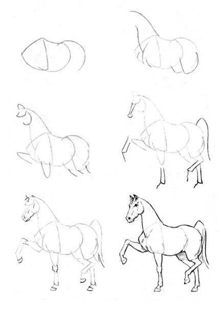 رسومات تلوين خيول