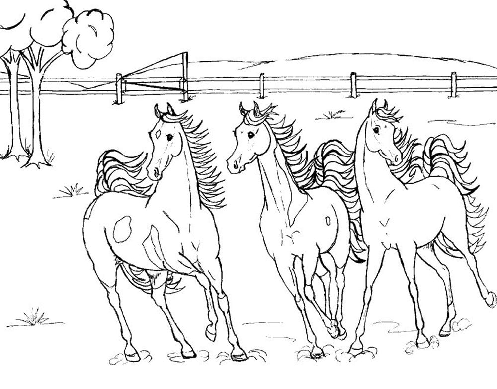 رسومات تلوين خيول