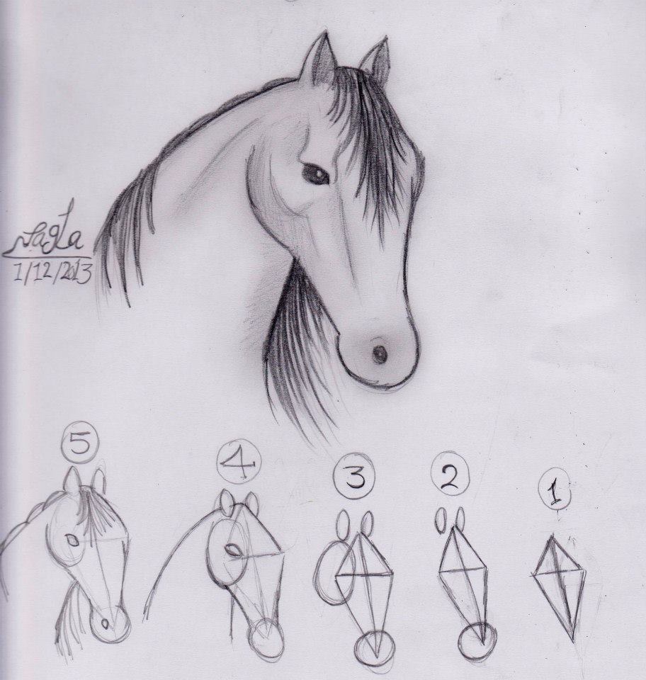 رسومات تلوين خيول